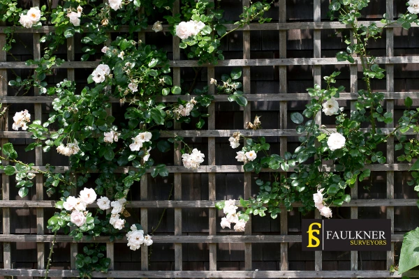 Can I put trellis on my Neighbours garage wall? 2 Do you want to adapt your neighbours garage door and add a trellis South-Benfleet? Talk to Faulkner Surveyor South-Benfleet